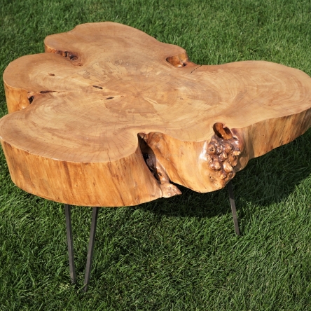 Stół z plastra drewna - wiąz