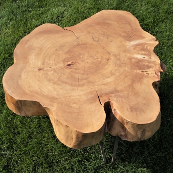 Stół z plastra drewna - wiąz